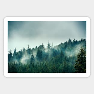 Trees in the Mist II Sticker